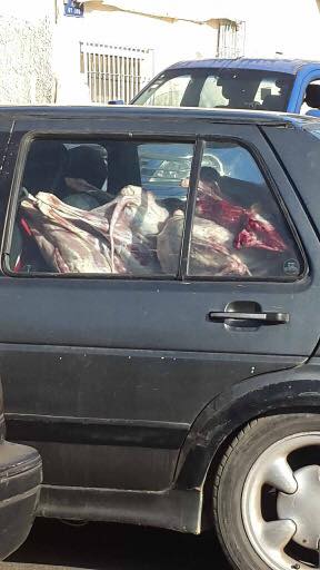 PHOTOS - Ca se passe au Sénégal : une voiture délabrée remplie de viande que l’on suppose destinée à la consommation, sans remplir les normes de conservation